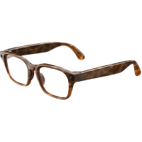 Умные очки Meta Adventurer (Classic Tortoise/Clear Standart)